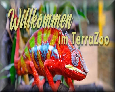 Terra Zoo